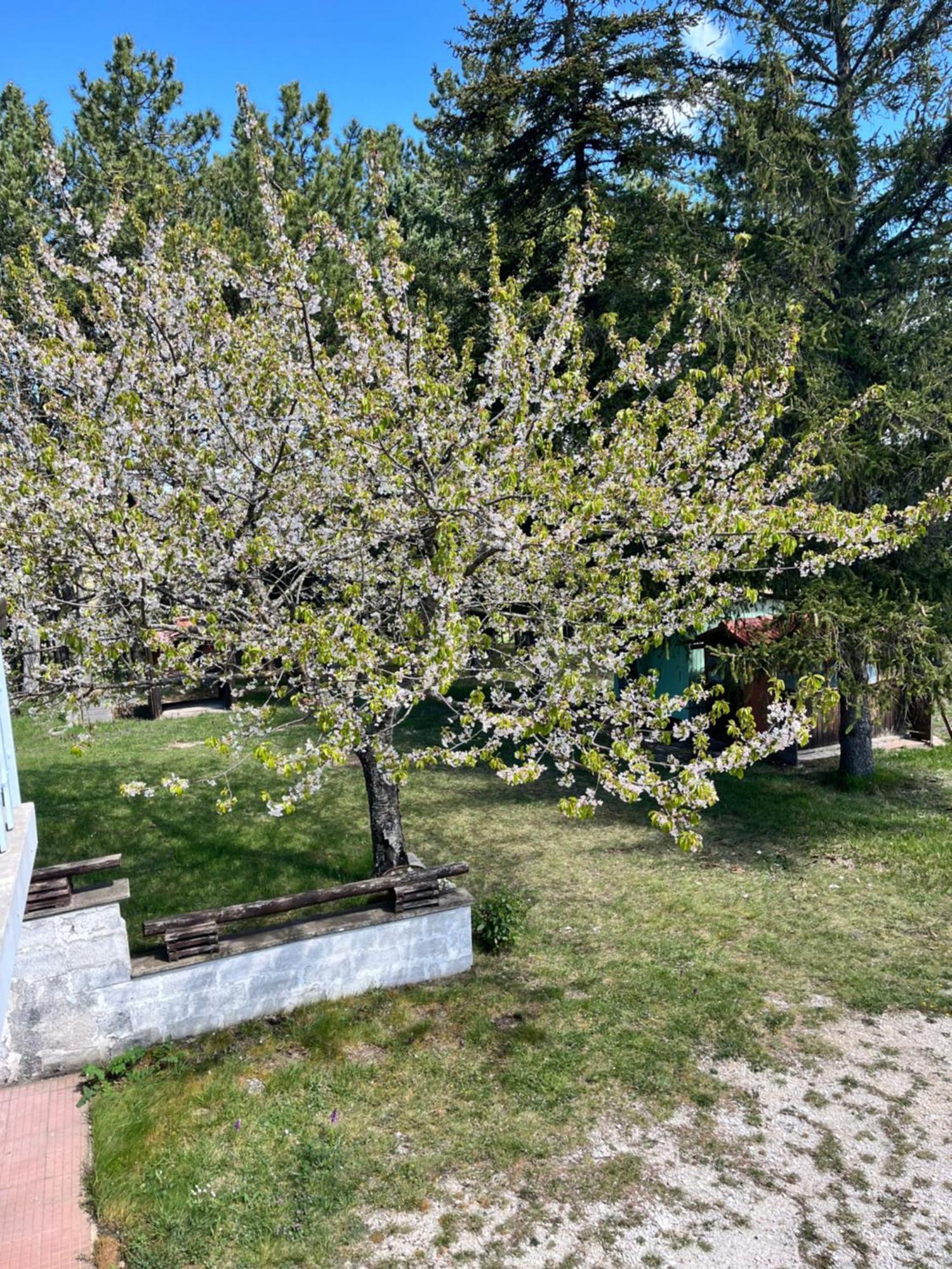 Chalet Ricciano Foligno Exterior photo